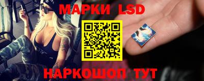 стафф Будённовск