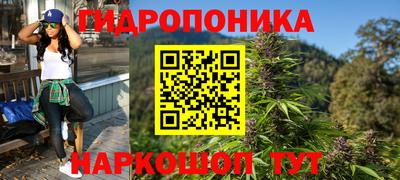 стафф Будённовск