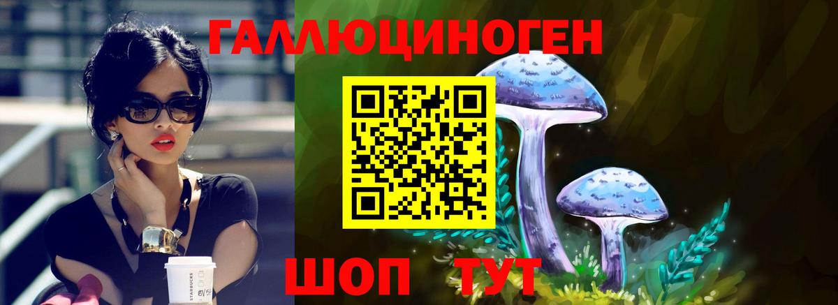 Усть-Кут  Псилоцибиновые грибы мухоморы  Вход с VPN  Галлюциногенные грибы MAGIC MUSHROOMS 